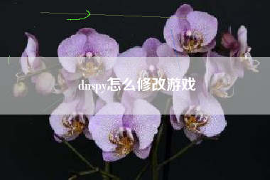 dnspy怎么修改游戏