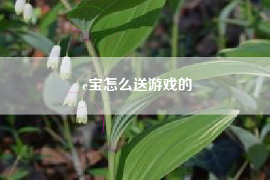e宝怎么送游戏的
