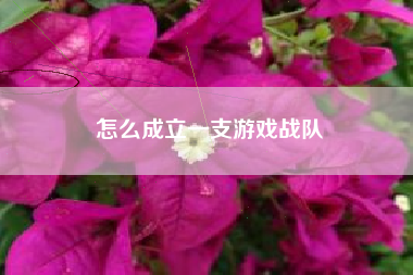 怎么成立一支游戏战队
