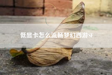 低显卡怎么流畅梦幻西游SF
