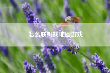 怎么联机找地图游戏