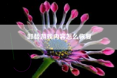 卸载游戏内容怎么恢复