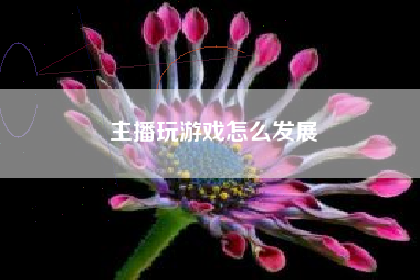 主播玩游戏怎么发展