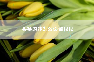 头条游戏怎么设置权限