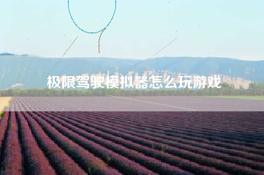 极限驾驶模拟器怎么玩游戏