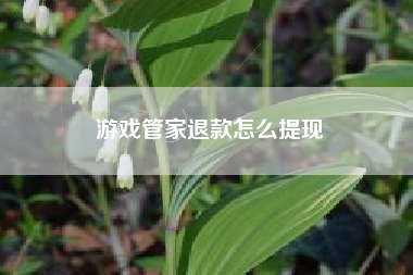 游戏管家退款怎么提现