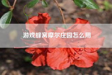 游戏蜂窝摩尔庄园怎么用