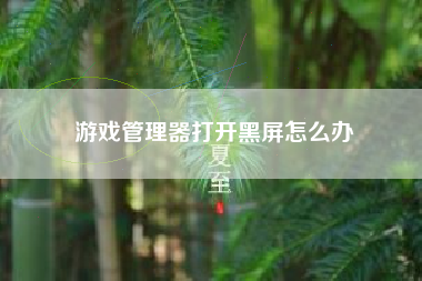 游戏管理器打开黑屏怎么办