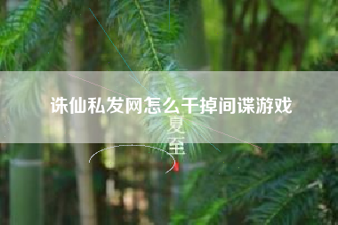 诛仙私发网怎么干掉间谍游戏