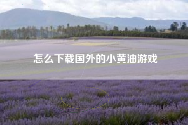 怎么下载国外的小黄油游戏