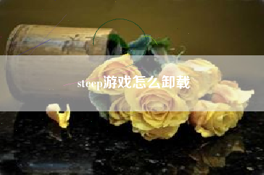 steep游戏怎么卸载