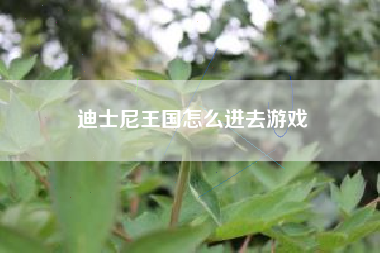 迪士尼王国怎么进去游戏