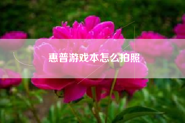 惠普游戏本怎么拍照