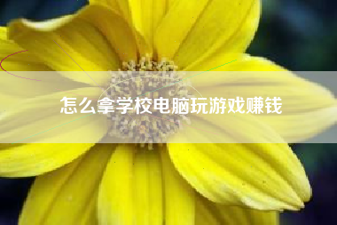 怎么拿学校电脑玩游戏赚钱
