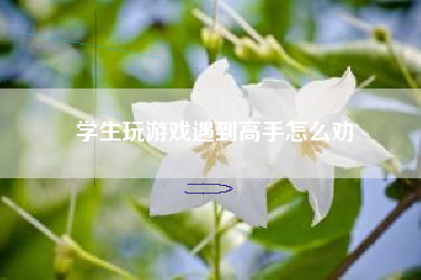 学生玩游戏遇到高手怎么劝