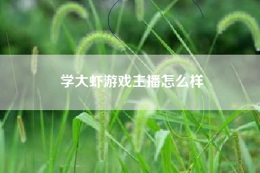 学大虾游戏主播怎么样