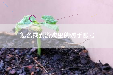 怎么找到游戏里的对手账号