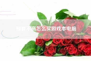 预算不高怎么买游戏本电脑