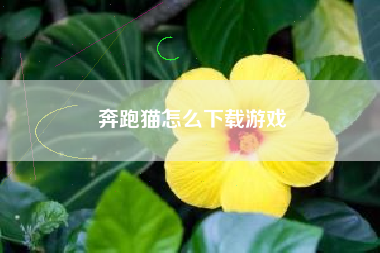 奔跑猫怎么下载游戏