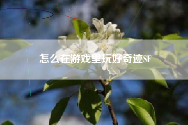 怎么在游戏里玩好奇迹SF