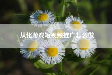 从化游戏短视频推广怎么做