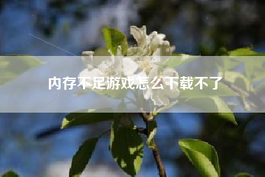 内存不足游戏怎么下载不了