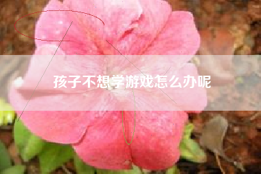 孩子不想学游戏怎么办呢