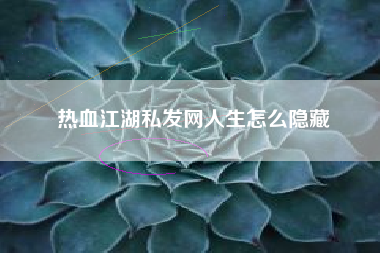热血江湖私发网人生怎么隐藏
