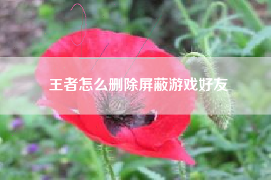 王者怎么删除屏蔽游戏好友