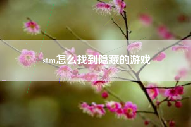 stm怎么找到隐藏的游戏