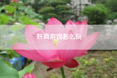 奸商游戏怎么玩