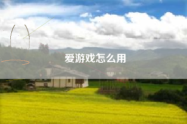 爱游戏怎么用