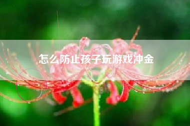 怎么防止孩子玩游戏冲金