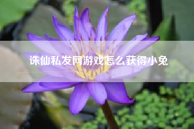 诛仙私发网游戏怎么获得小兔