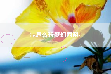 ios怎么玩梦幻西游sf
