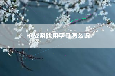 枪战游戏用字母怎么说
