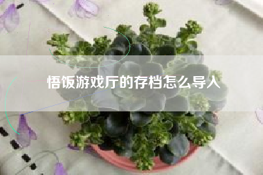 悟饭游戏厅的存档怎么导入