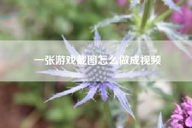 一张游戏截图怎么做成视频