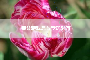 师父游戏怎么宽恕对方