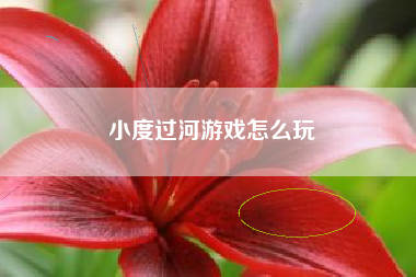 小度过河游戏怎么玩