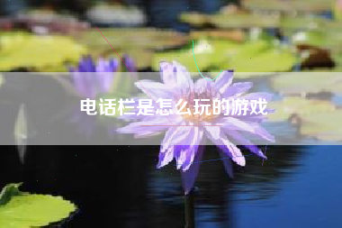 电话栏是怎么玩的游戏