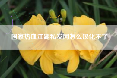 国家热血江湖私发网怎么汉化不了