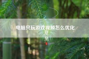 电脑只玩游戏视频怎么优化