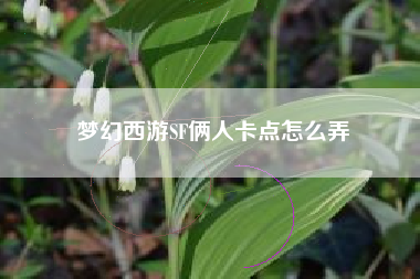 梦幻西游SF俩人卡点怎么弄