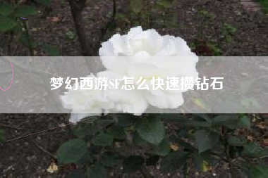 梦幻西游SF怎么快速攒钻石