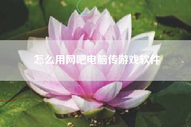 怎么用网吧电脑传游戏软件