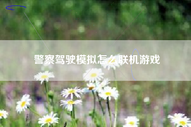 警察驾驶模拟怎么联机游戏