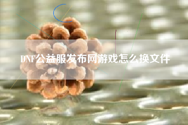 DNF公益服发布网游戏怎么换文件