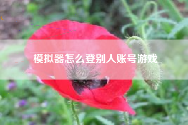 模拟器怎么登别人账号游戏