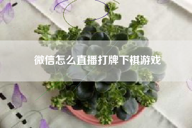 微信怎么直播打牌下棋游戏